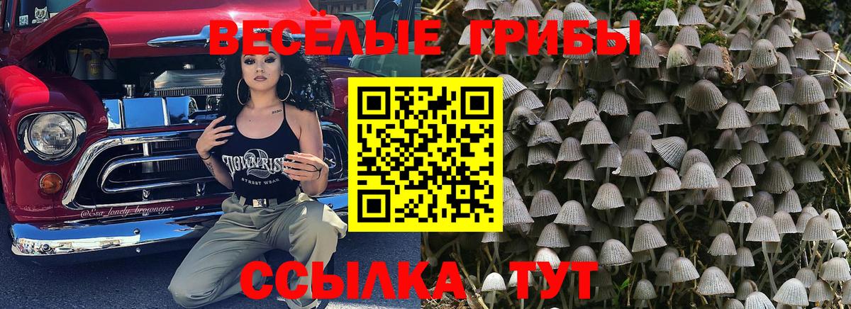 Галлюциногенные грибы Magic Shrooms  Вход с VPN  Коммунар 